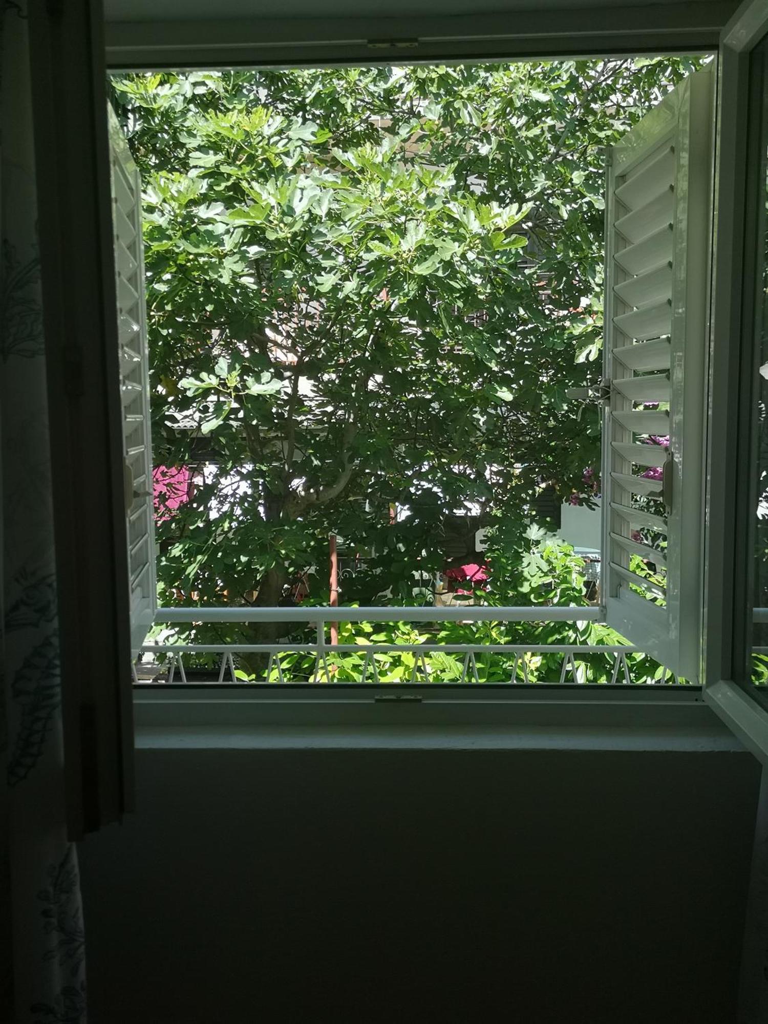 Apartment Adriatic Pavlinovic - *